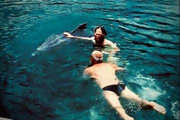 kotor boat tours photos - swimming kotor bay montenegro - two men in water together with a dolphing, one man petting dolphin