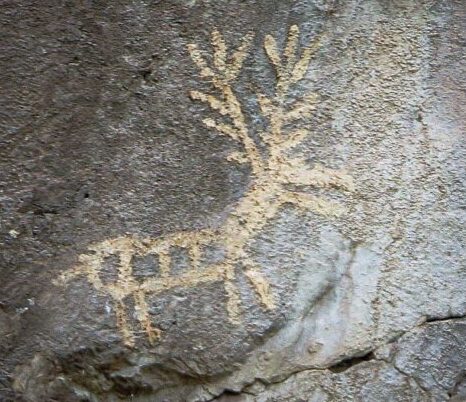 kotor boat tours - lipci cave drawing of a deer