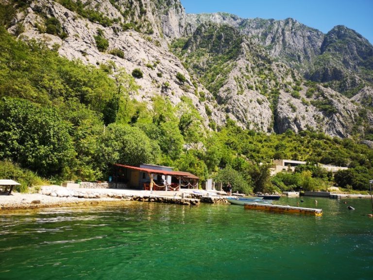 krivokapic mussel farm