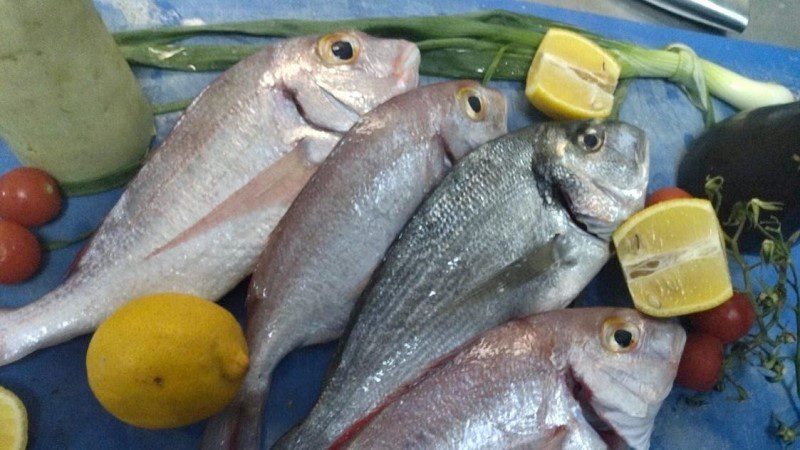 common pandora and a gilt-head bream ready to be cooked