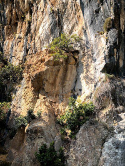 Lipci rock 